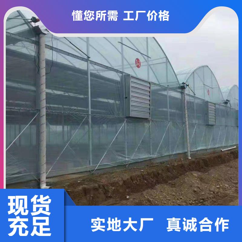 广州番禺连栋温室大棚施工团队