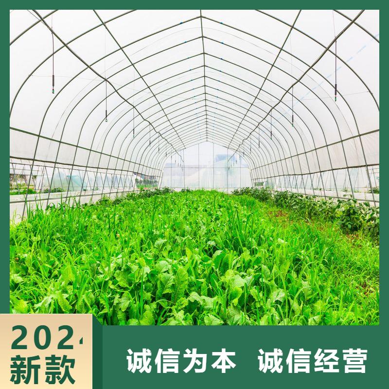 连栋大棚种植择优推荐2024