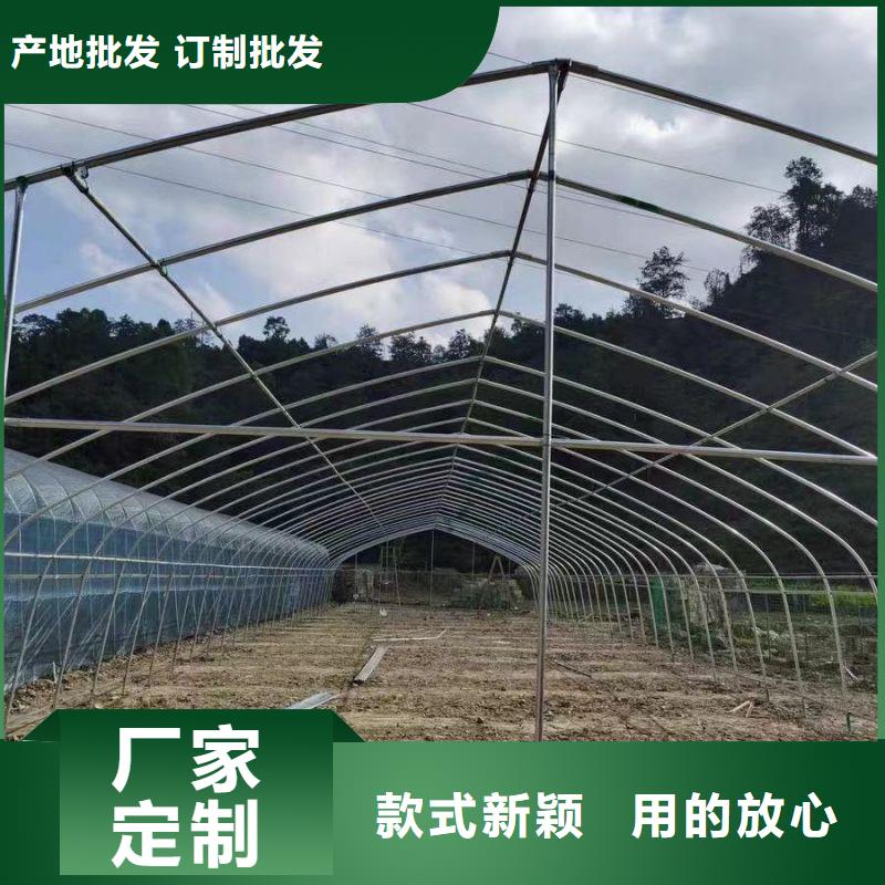 连栋大棚种植质量放心2024