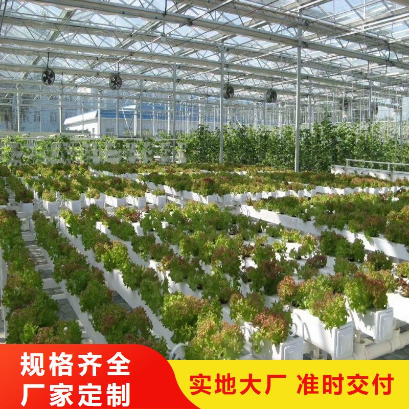 钢城种植单体大棚信赖推荐