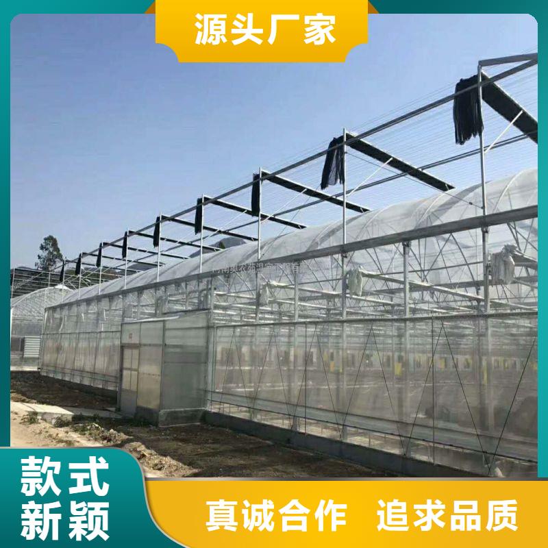 广州番禺连栋温室大棚施工团队