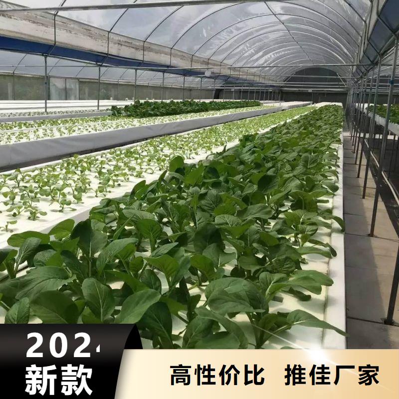 连栋【大棚管】种植基地