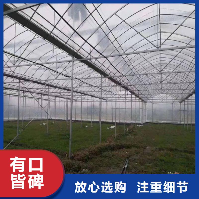 漠河连栋大棚种植质量放心2024