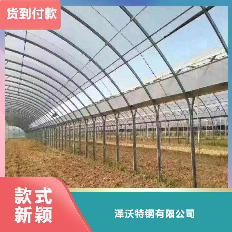 资中连栋大棚种植厂家报价2024