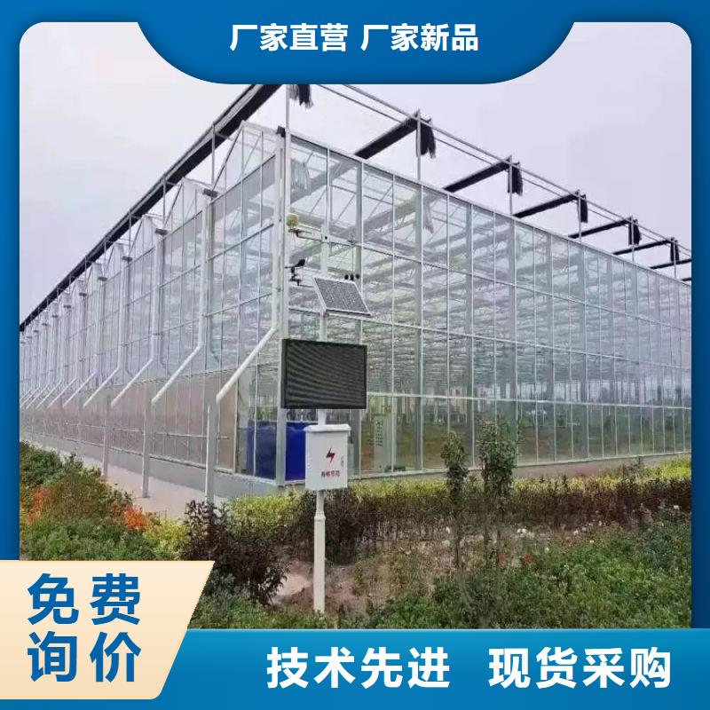 康保县单体温室种植基地