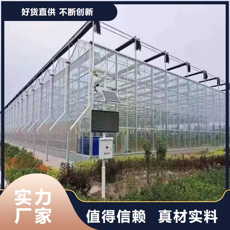 蒙城联栋大棚种植基地