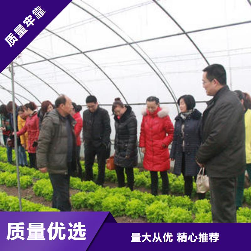 茂南大棚管价格优惠2024已更新