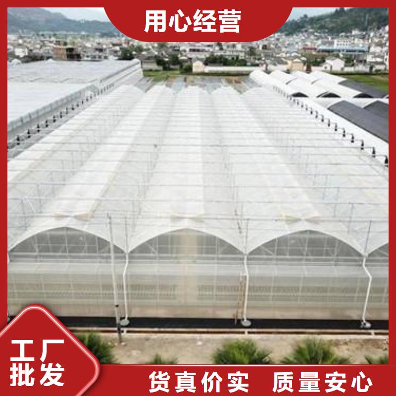 大通蔬菜大棚管采购价格2024已更新