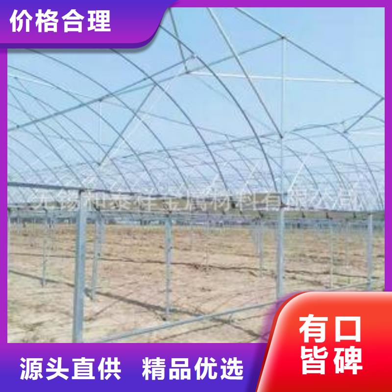 蔬菜大棚管口碑好2024已更新