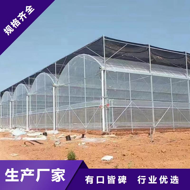 蔬菜大棚管口碑好2024已更新