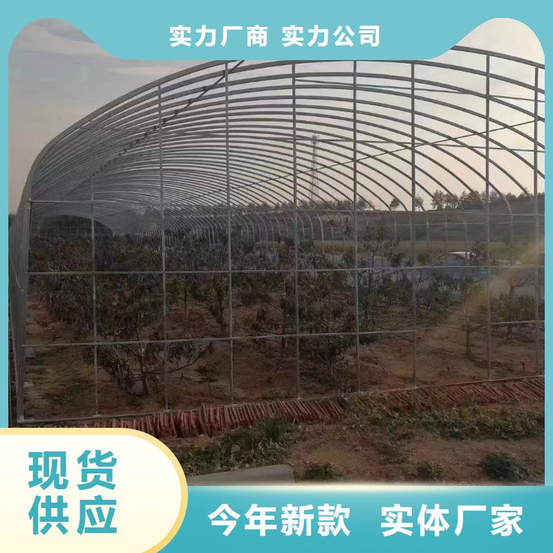 铁山港连栋大棚管厂家2024已更新