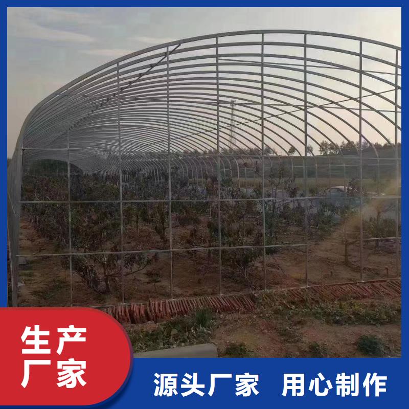 文昌市连栋钢管骨架蔬菜大棚管十年建设经验