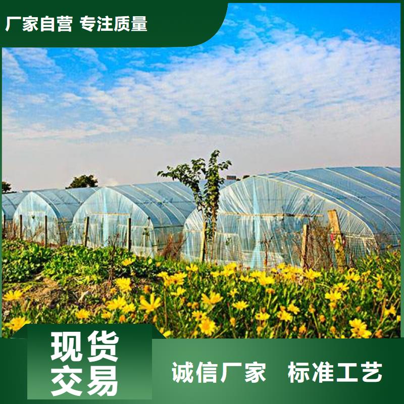 沅江市蔬菜，花卉连栋大棚管架低造价高质量