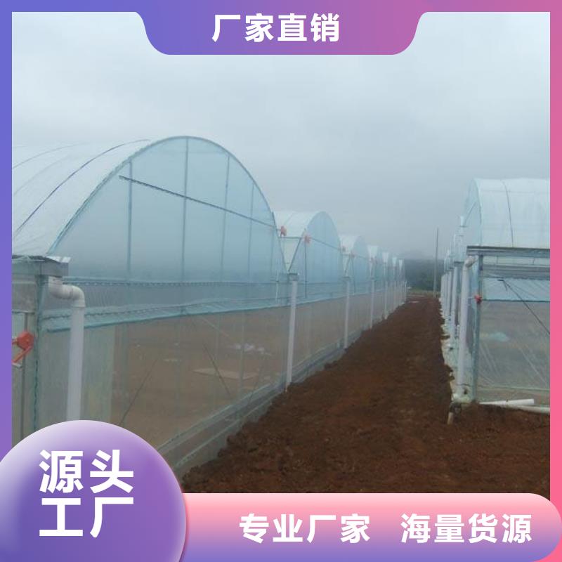 兴业大棚管现货种植基地