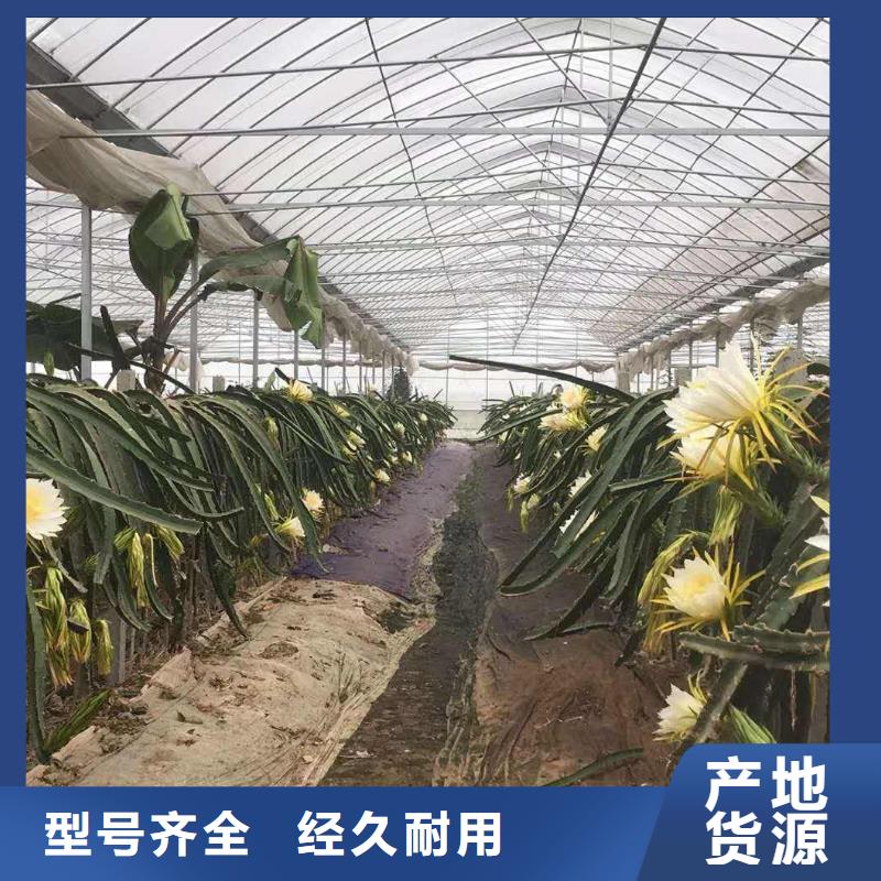 种植大棚经销商