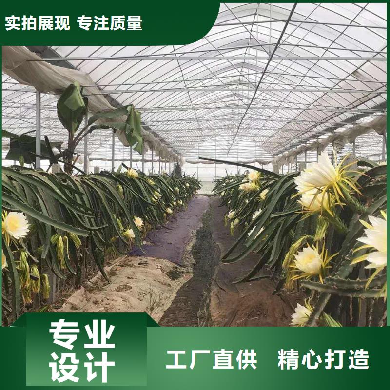 大棚管连栋温室搭建送货上门