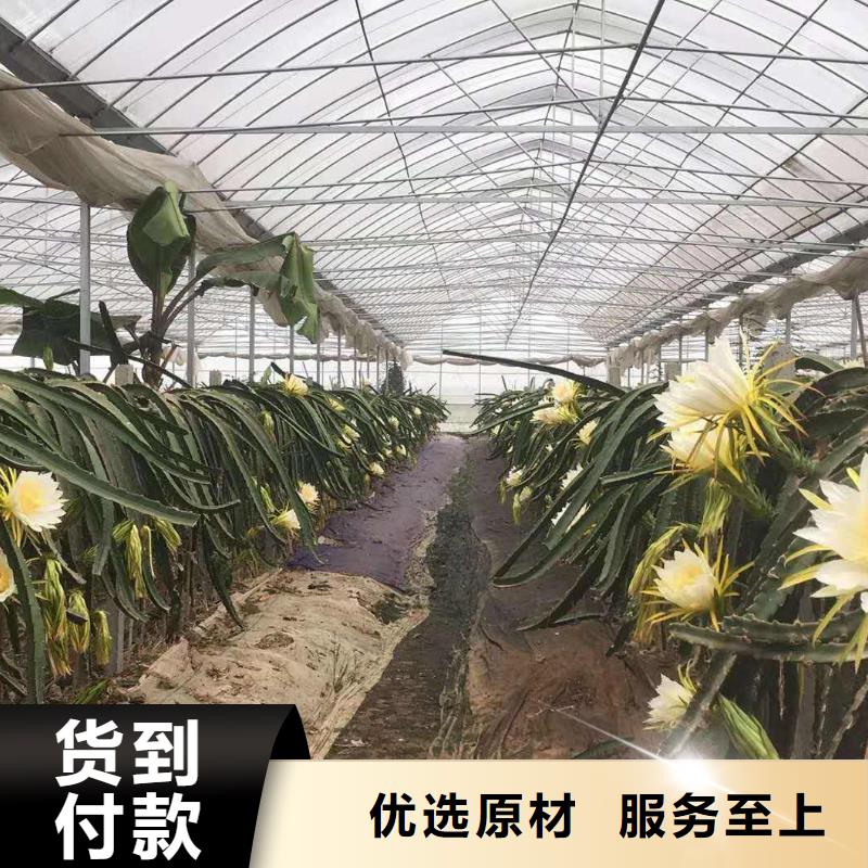 优选：大棚管厂家公司