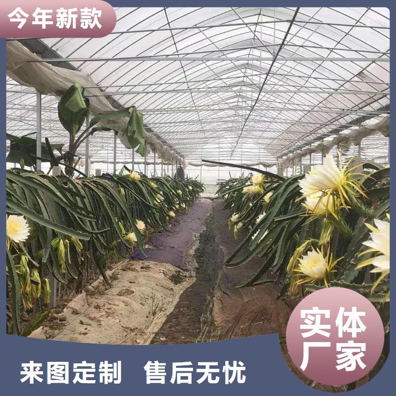  大棚管厂家大量现货