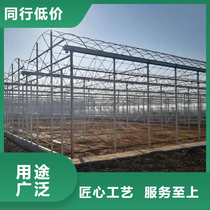 徽州蔬菜大棚管质量优2024已更新