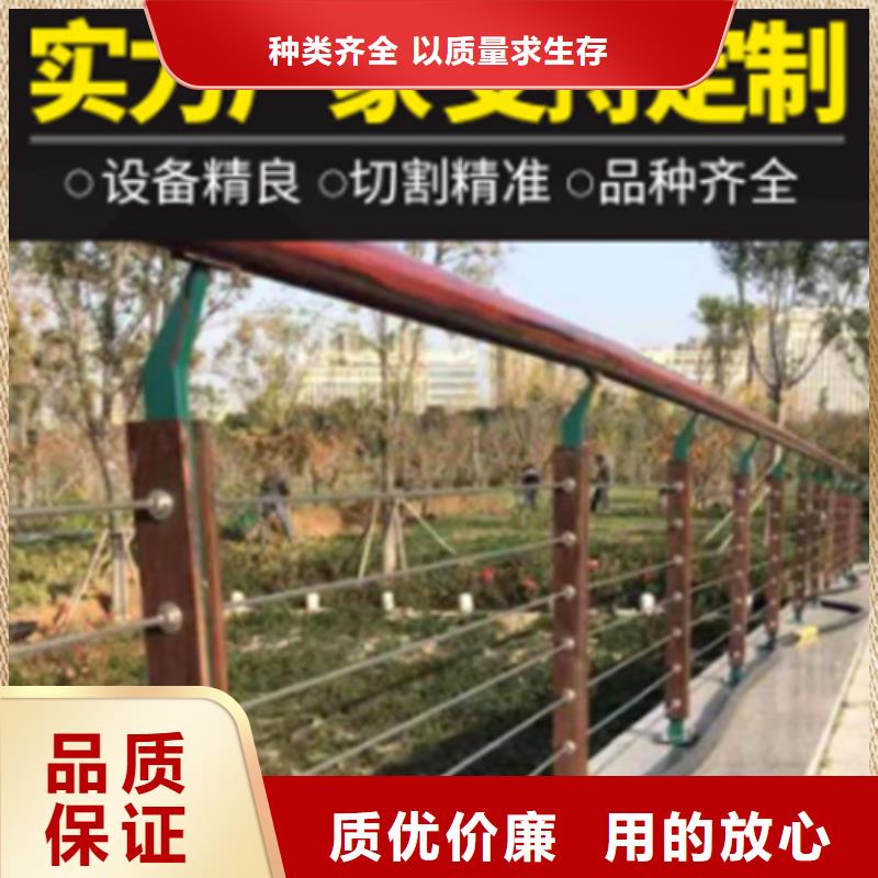 高速桥梁公路隔离防护栏还是我们品质好