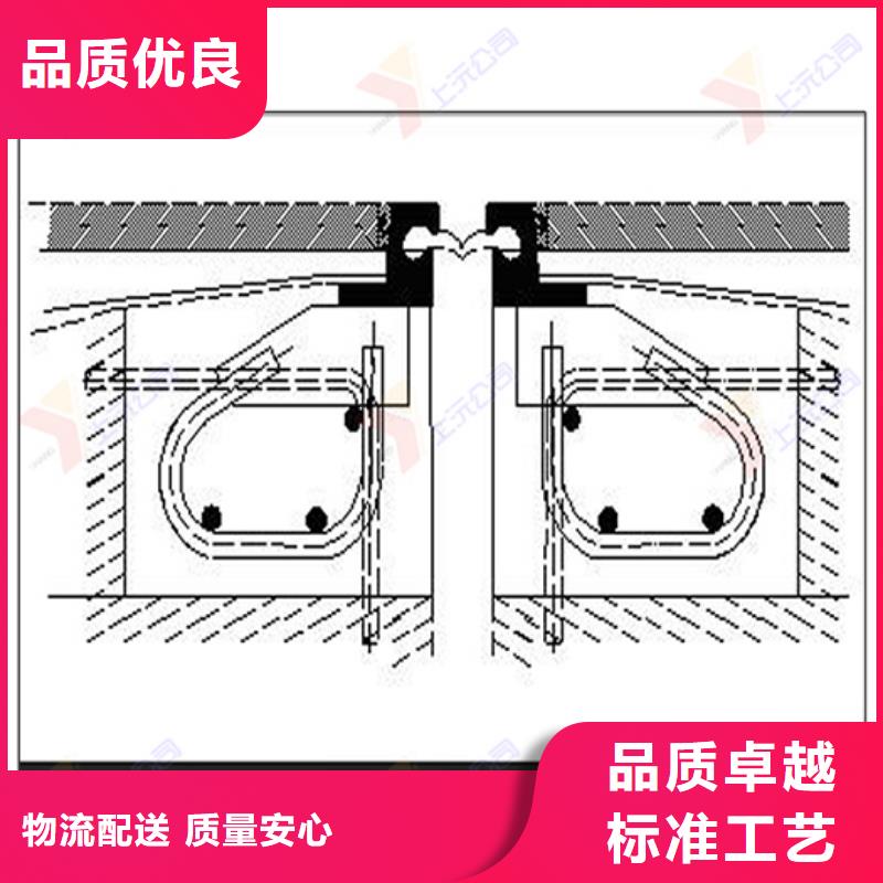 桥梁伸缩缝_连廊支座专业厂家