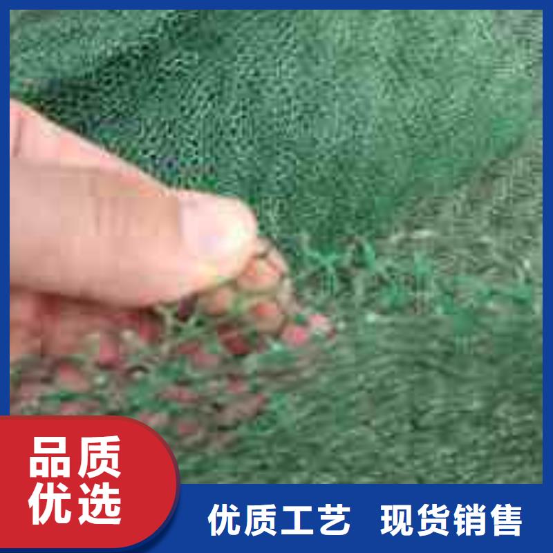 三维植被网-长丝土工布满足多种行业需求