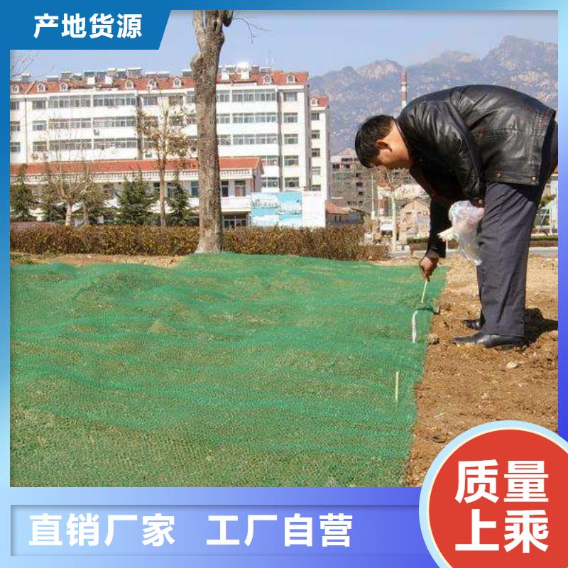 【三维植被网】蜂巢格室丰富的行业经验