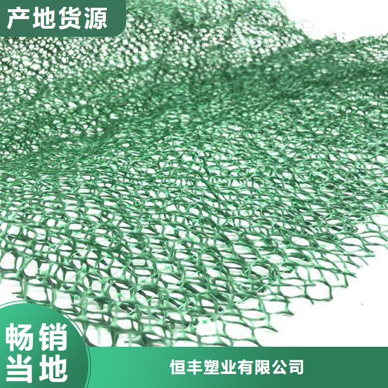 三维植被网-长丝土工布满足多种行业需求