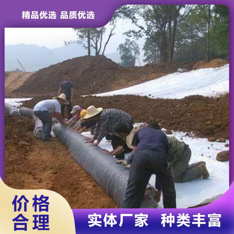 【膨润土防水毯】蜂巢格室源头厂家供应