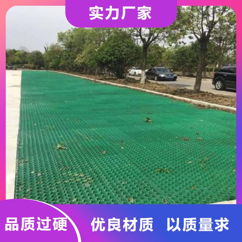 植草格-塑料土工滤网用心做好每一件产品