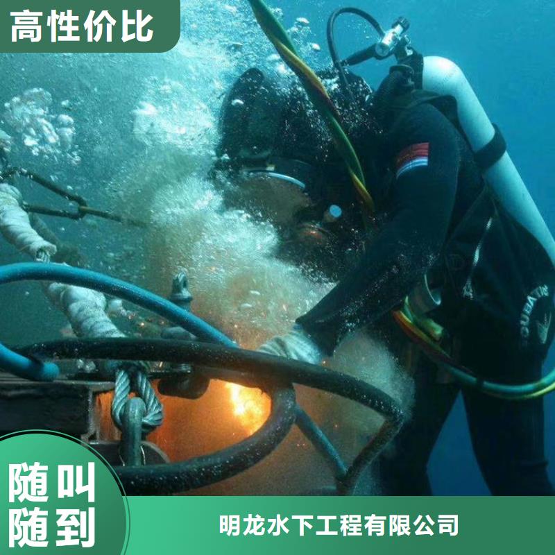 采购【明龙】潜水员服务公司 