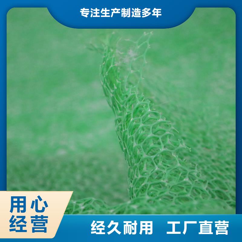 三维植被网玻纤土工格栅量少也做
