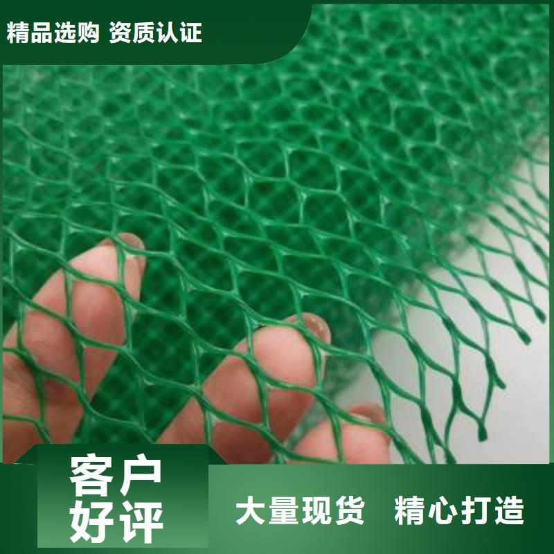 三维植被网三维土工网垫专业生产团队