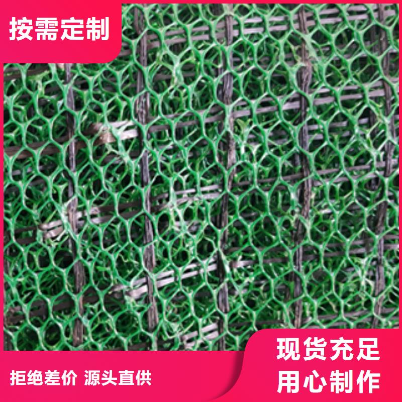 三维植被网玻纤土工格栅极速发货