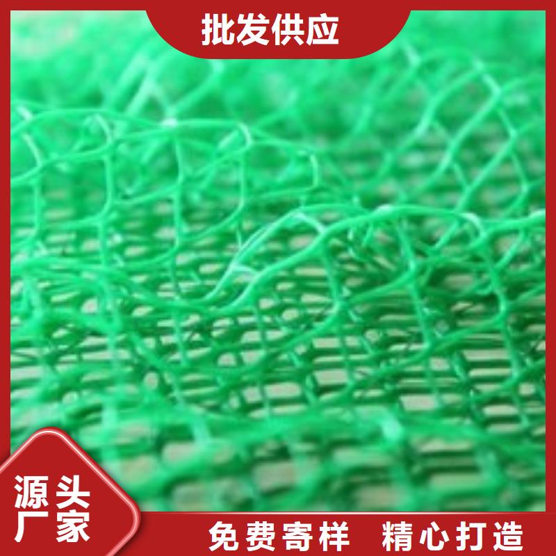三维植被网玻纤土工格栅极速发货