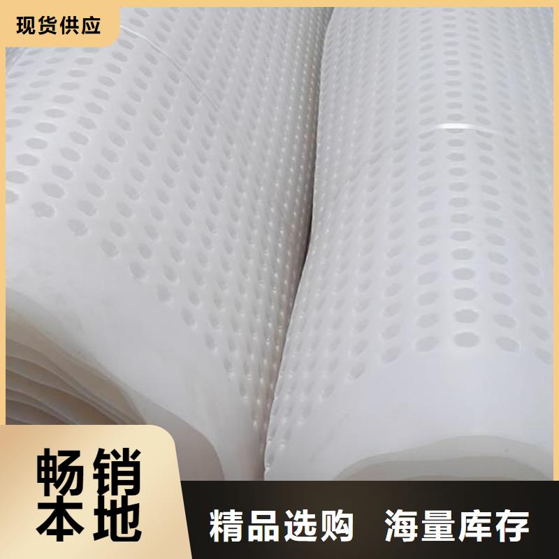 【塑料排水板】土工席垫专业生产N年