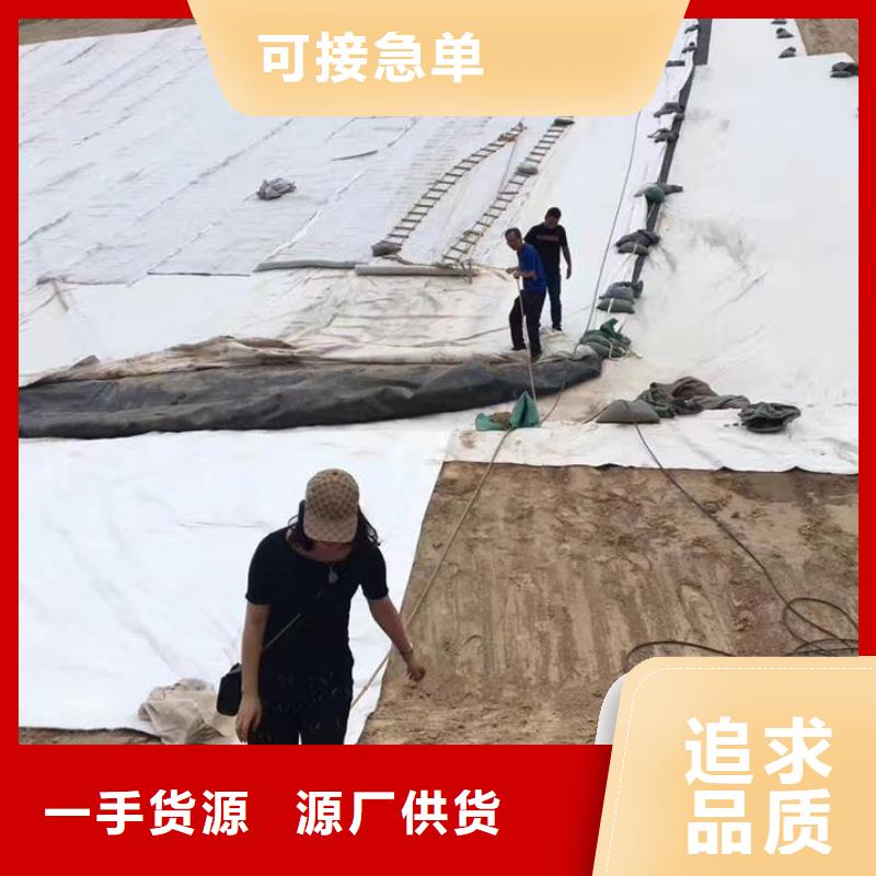 三维复合排水网钢塑土工格栅生产厂家