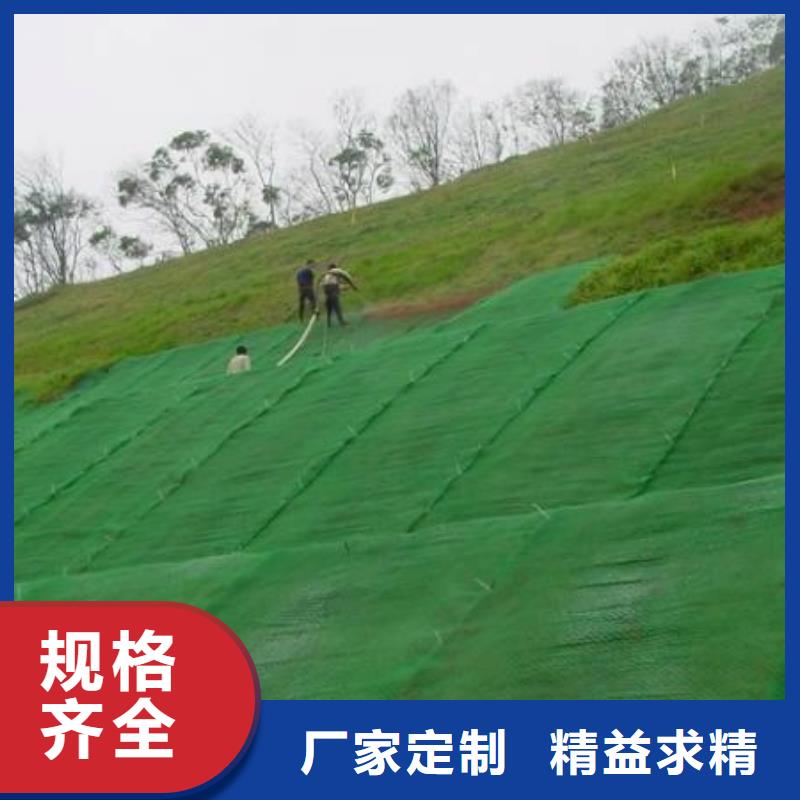 三维植被网,【单向塑料格栅】精益求精