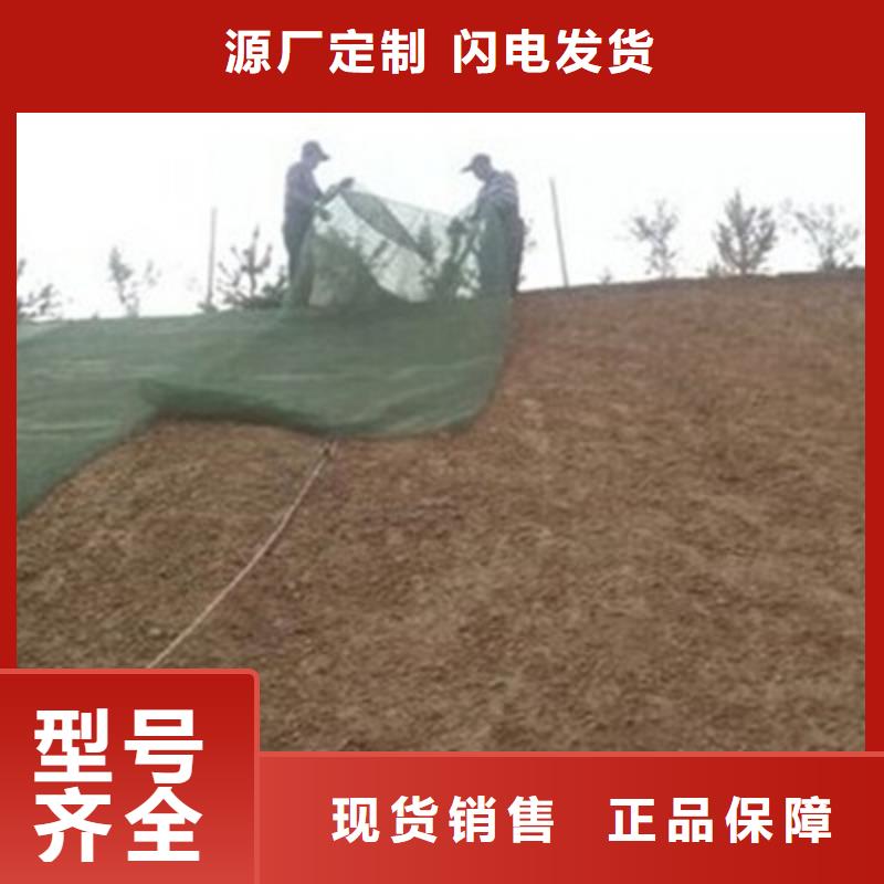 三维植被网单向塑料格栅型号齐全