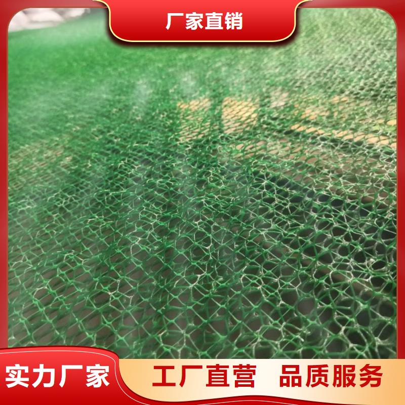 【三维植被网】HDPE黑色土工膜正品保障