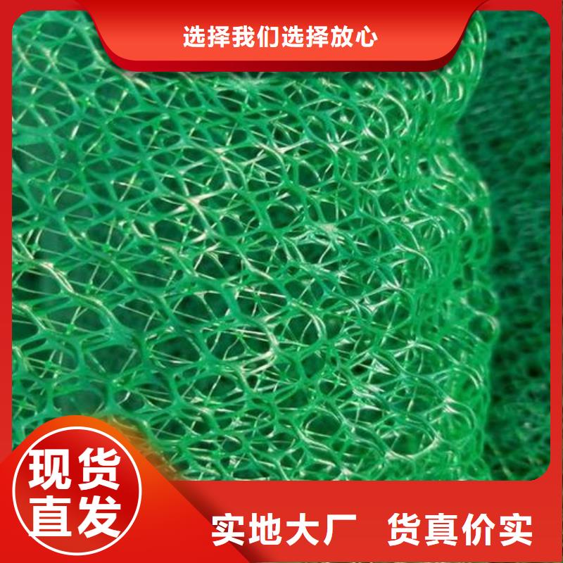 三维植被网单向塑料土工格栅的简单介绍
