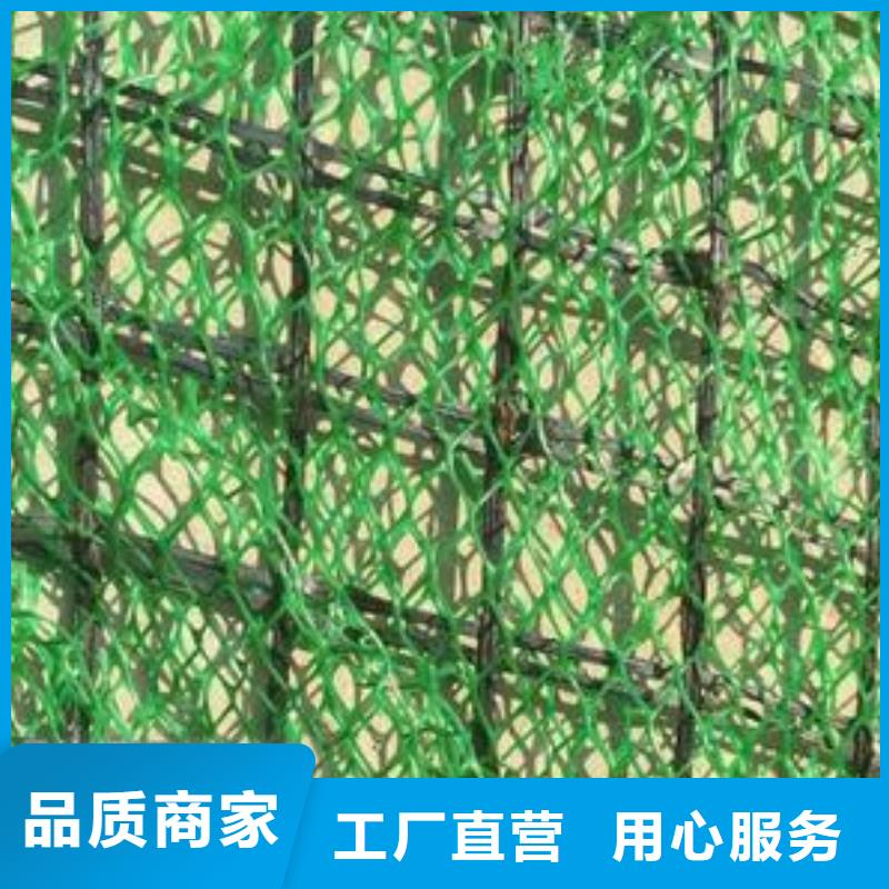 三维植被网单向塑料土工格栅的简单介绍
