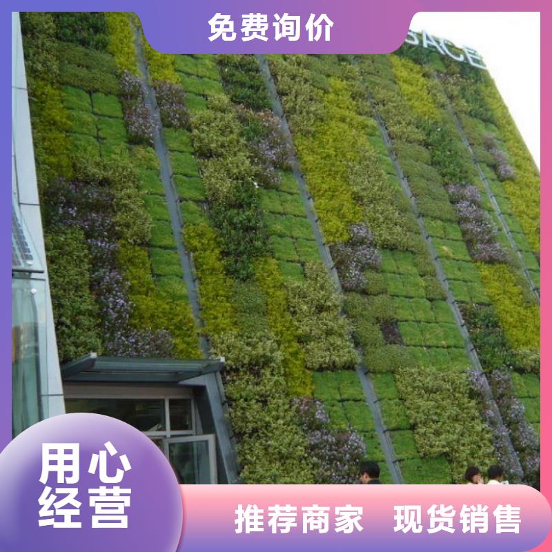 三维植被网-双向塑料土工格栅让利客户