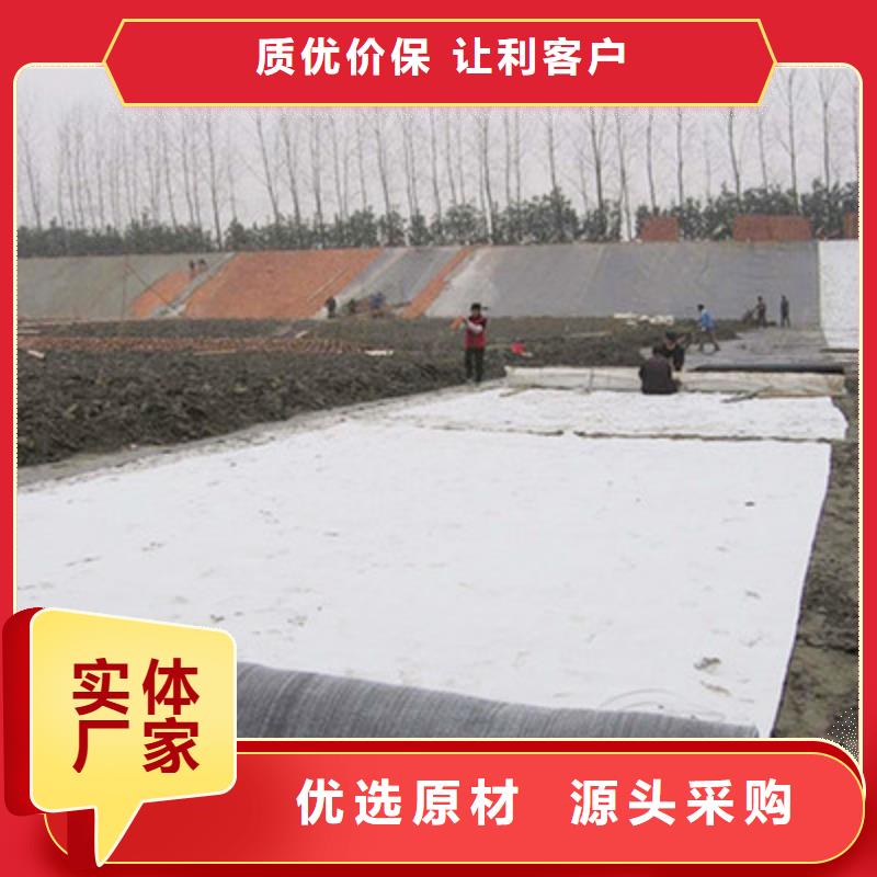 膨润土防水毯玻纤土工格栅工厂自营