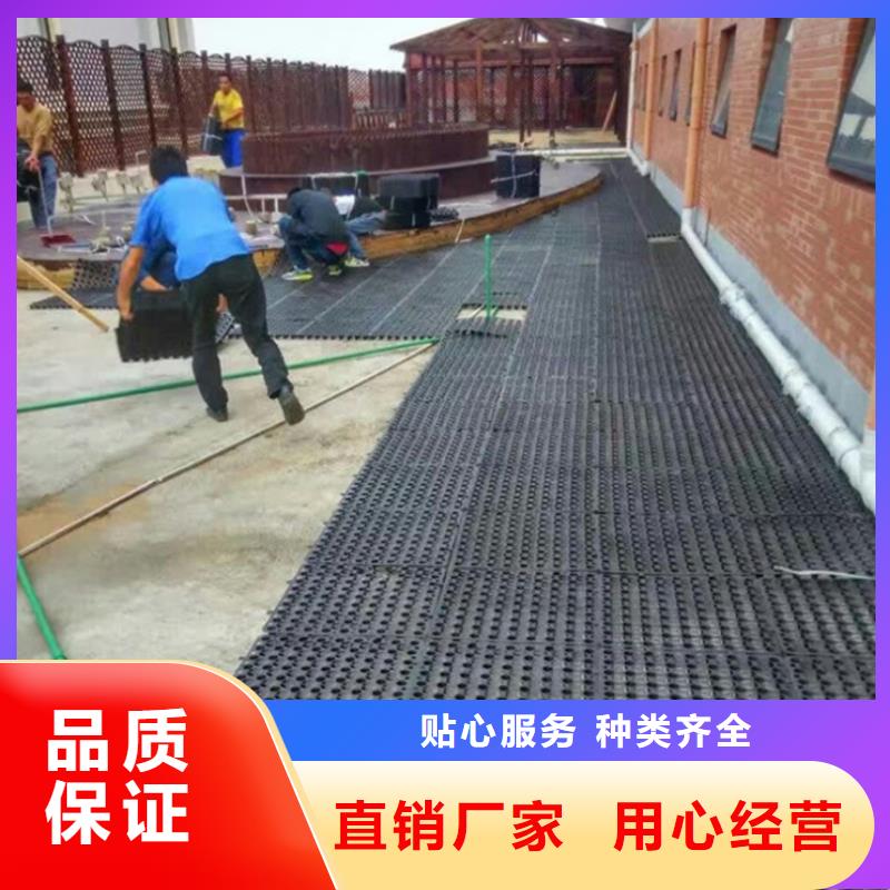 塑料排水板双向塑料土工格栅工艺精细质保长久