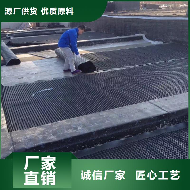 塑料排水板涤纶土工格栅自有生产工厂