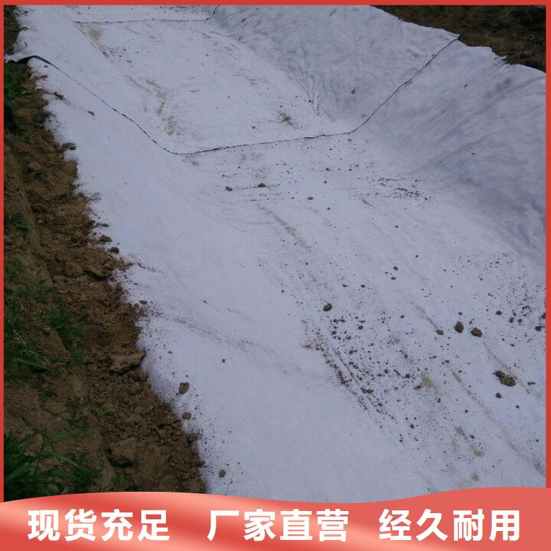 防水毯【凸结点钢塑土工格栅】售后服务完善