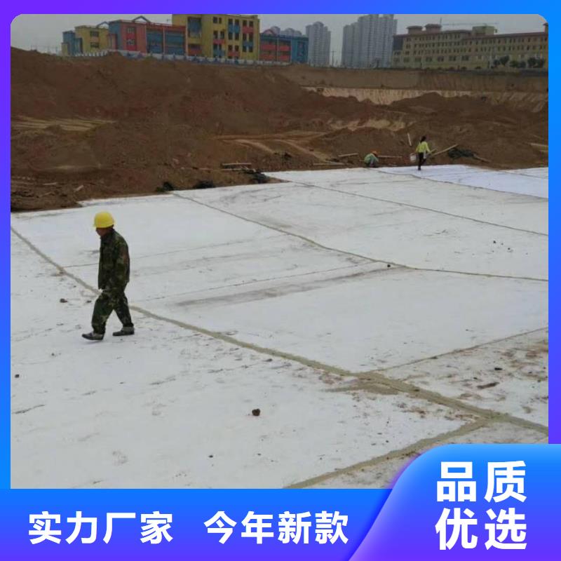 防水毯【凸结点钢塑土工格栅】售后服务完善