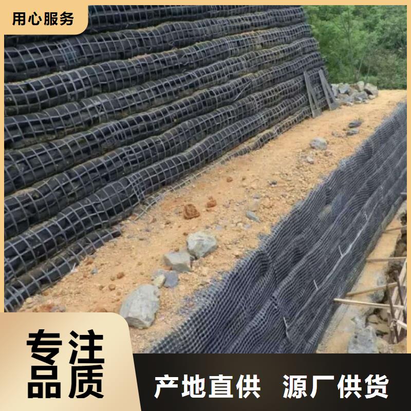 土工格栅钢塑土工格栅厂家24小时下单发货