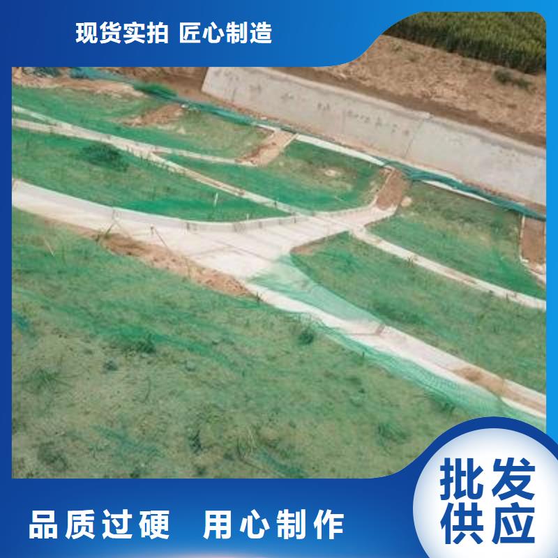 三维植被网【钢塑土工格栅厂家】客户满意度高